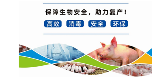 五星动保的产品怎么样？宠物的好选择！