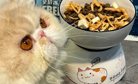 纽派森猫粮为什么禁卖 纽派森猫粮为什么禁卖