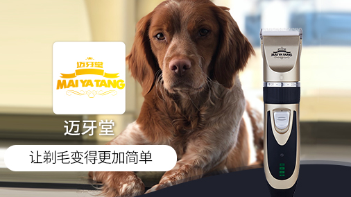 迈牙堂品牌如何？一起来看看！