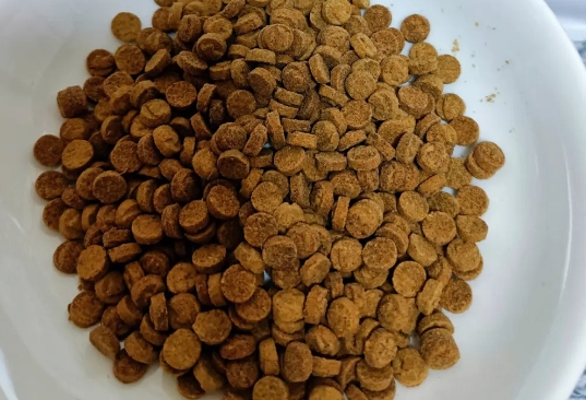 泰宠猫粮怎么样