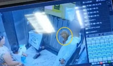 “向我的狗道歉！”不栓狗绳的狗主人，在电梯里因宠物狗被叫“畜生”怒了？