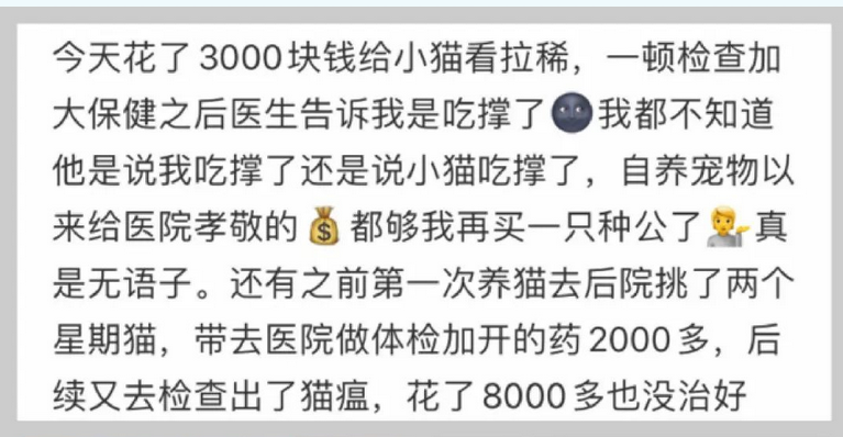 猫狗看病动辄花几千元，宠物医疗为何如此昂贵