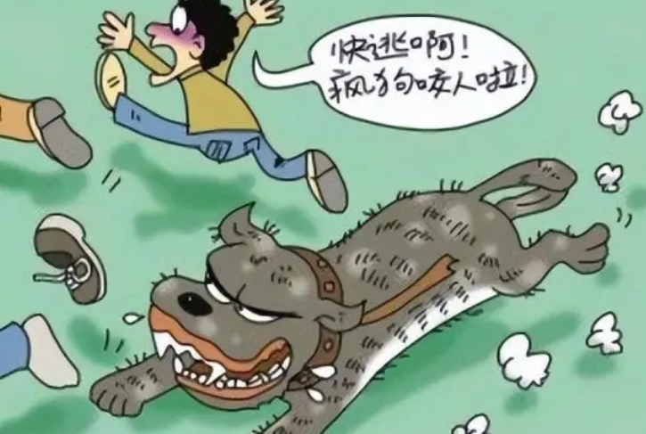 网曝江苏咬人狗已经离世，女子治疗费用高达百万，狗主人拒绝赔偿