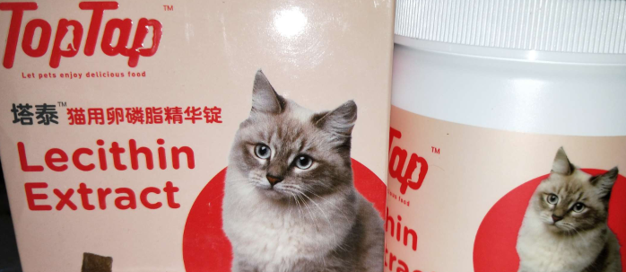 【简介】塔泰宠物用品品牌如何