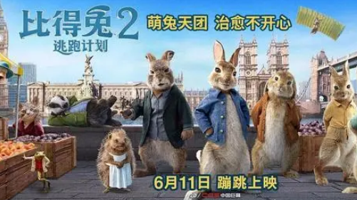 大人小孩都开心！这只小兔子是今年夏天的欢乐源泉