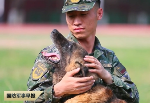 超暖!一级功勋犬和训导员的“双向奔赴”! 超暖!一级功勋犬和训导员的“双向奔赴”!