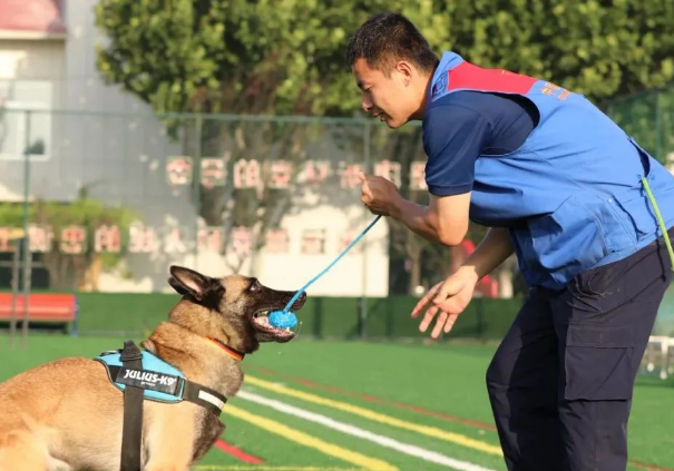 新疆消防救援总队全国第七届消防搜救犬比武备战侧记