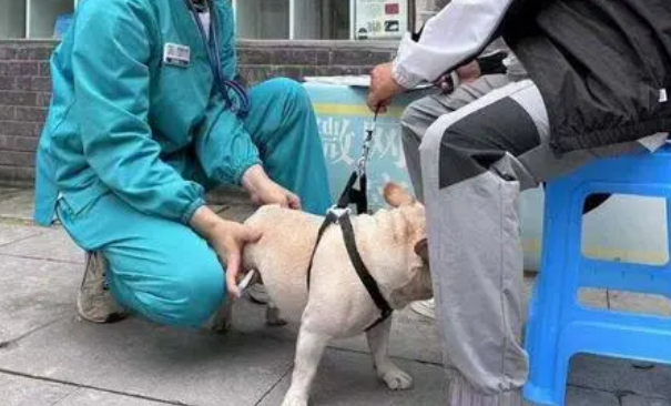 “宠”我做起，倡导文明养犬共建和谐社区