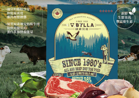 维肯贝拉猫粮:优质营养,猫猫喜爱的美食之选 维肯贝拉猫粮:优质营养,猫猫喜爱的美食之选