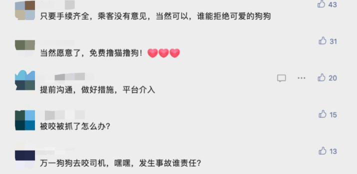 拼车拼到狗子猫咪,你能接受吗? 拼车拼到狗子猫咪,你能接受吗?