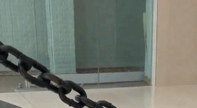 闺蜜说她养了一只“恶犬”,平时都不敢牵出来,今天终于见识到了 闺蜜说她养了一只“恶犬”,平时都不敢牵出来,今天终于见识到了