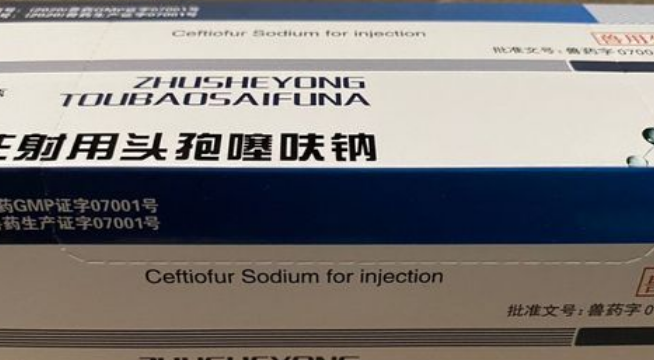 兽用头孢和穿心莲针剂能一起用 兽用头孢和穿心莲针剂能一起用