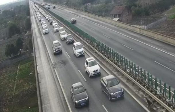 哈士奇误闯高速致堵车！网友：这次真的“堵成狗”