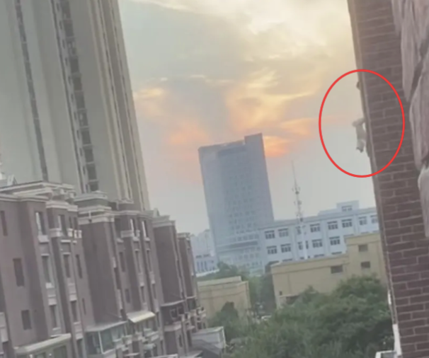 狗狗因为在家里小便,被女主人吊在高楼窗外悬挂 狗狗因为在家里小便,被女主人吊在高楼窗外悬挂