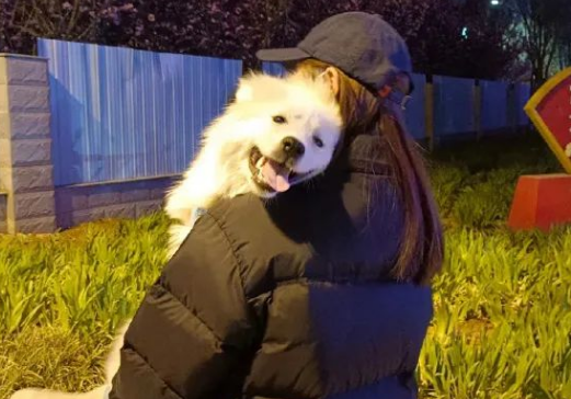 狗子坐飞机一秒钟被亲了八次，毛都快撸秃了…