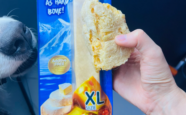 布鲁莱克奶酪棒评测,看看是否靠谱~ 布鲁莱克奶酪棒评测,看看是否靠谱~