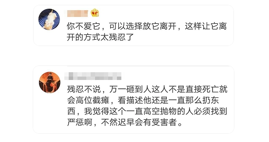 太残忍!小区高空坠下10多斤的乌龟,摔得四分五裂 太残忍!小区高空坠下10多斤的乌龟,摔得四分五裂