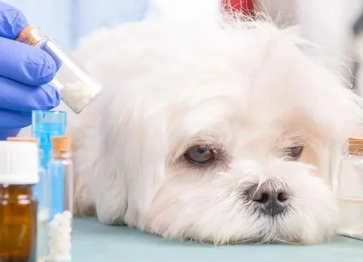 诺如病毒常见症状 诺如病毒常见症状