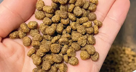哈斯曼宠物食品怎么样 哈斯曼宠物食品怎么样