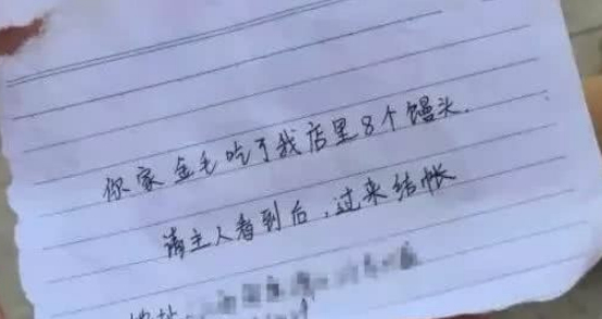 金毛在广场自己“逃跑”了，回来的时候带了“礼物”，主人都懵了
