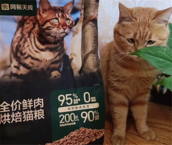 网易天成猫粮怎么样?质量如何 网易天成猫粮怎么样?质量如何