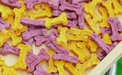 摩米特尔宠物零食:让宠物享受美食与健康的双重盛宴 摩米特尔宠物零食:让宠物享受美食与健康的双重盛宴