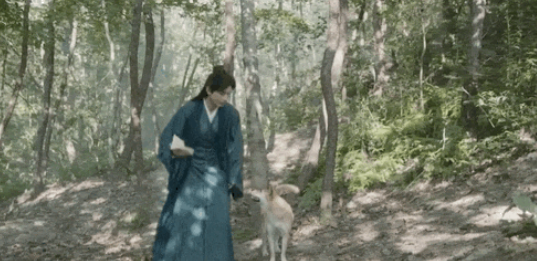田园犬成一线明星,拍剧拍电影还上央视 田园犬成一线明星,拍剧拍电影还上央视