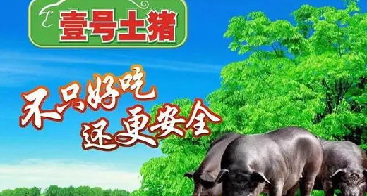 一号土猪和普通猪肉差别 一号土猪和普通猪肉差别