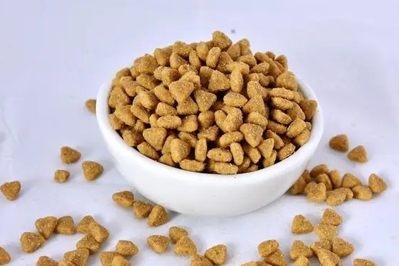 大脸猫宠物食品怎么样 大脸猫宠物食品怎么样