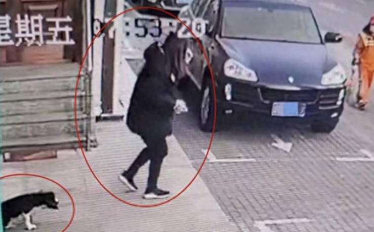 小狗疑遭遗弃拖着“瘸腿”追赶女主人,宠物医院:不能见死不救 小狗疑遭遗弃拖着“瘸腿”追赶女主人,宠物医院:不能见死不救