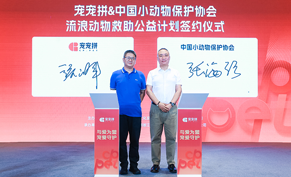宠宠拼携手中国小动物保护协会 公益筹集10吨宠粮救助流浪动物 宠宠拼携手中国小动物保护协会 公益筹集10吨宠粮救助流浪动物