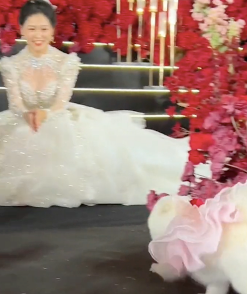 女生让狗在婚礼上送戒指，它的步伐坚定冲向主人