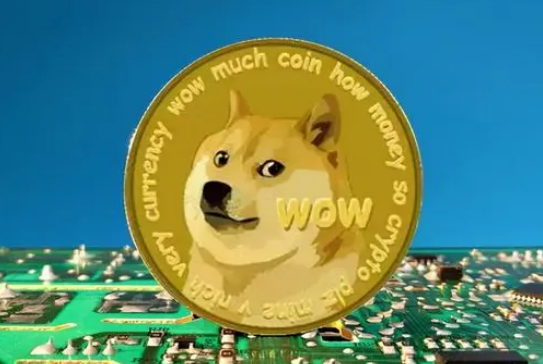 柴狗图片什么意思