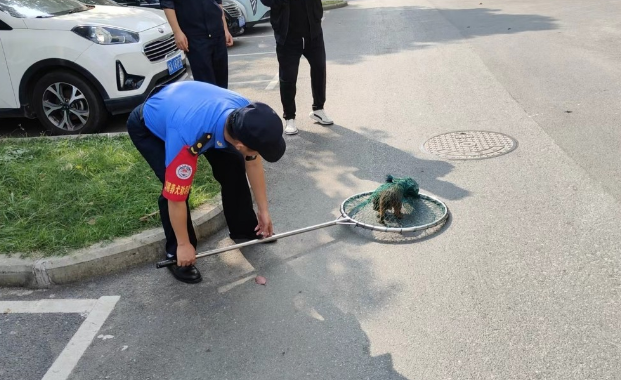 合肥住宅小区不文明养犬整治在行动！