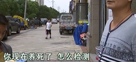 杭州男子买回宠物狗养了四天就死亡,宠物店:概不负责 杭州男子买回宠物狗养了四天就死亡,宠物店:概不负责
