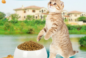 萌宗全价天然成猫粮怎么样