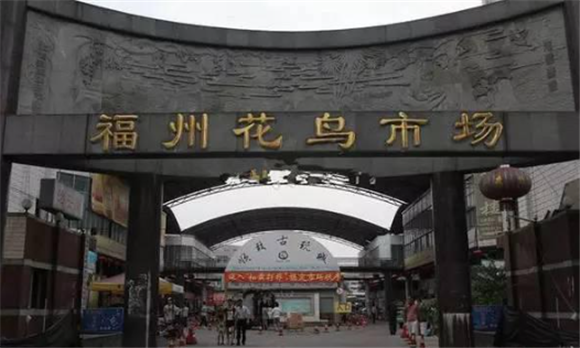 福州花鸟市场 福州花鸟市场