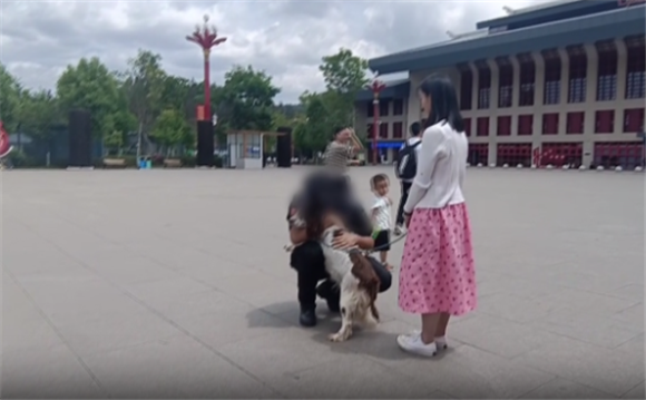 训导员偶遇“已故缉毒犬”原因让人泪目…… 训导员偶遇“已故缉毒犬”原因让人泪目……