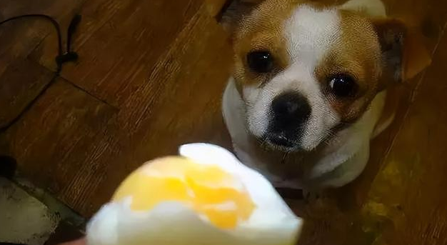 立冬必吃十大食物