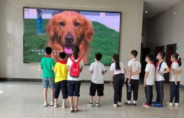 不到三秒辨毒品,缉毒犬秀绝活吸粉一群学生娃 不到三秒辨毒品,缉毒犬秀绝活吸粉一群学生娃
