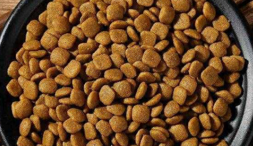 盛来知狗粮：正确喂食方法，让宠物健康又快乐