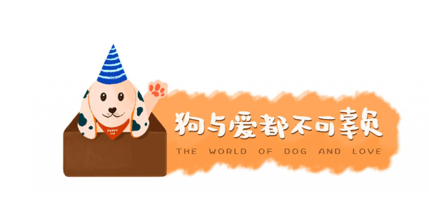狗子浪完进不去家哐哐挠门，漆都扒拉掉了也没人…网友：给孩子配把钥匙！