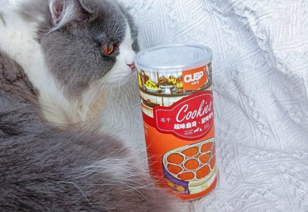 卡斯普猫条——喵星人零食新选择,爱的味道滋养猫咪健康! 卡斯普猫条——喵星人零食新选择,爱的味道滋养猫咪健康!