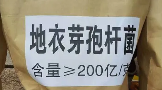 地衣芽孢杆菌的副作用使用禁忌