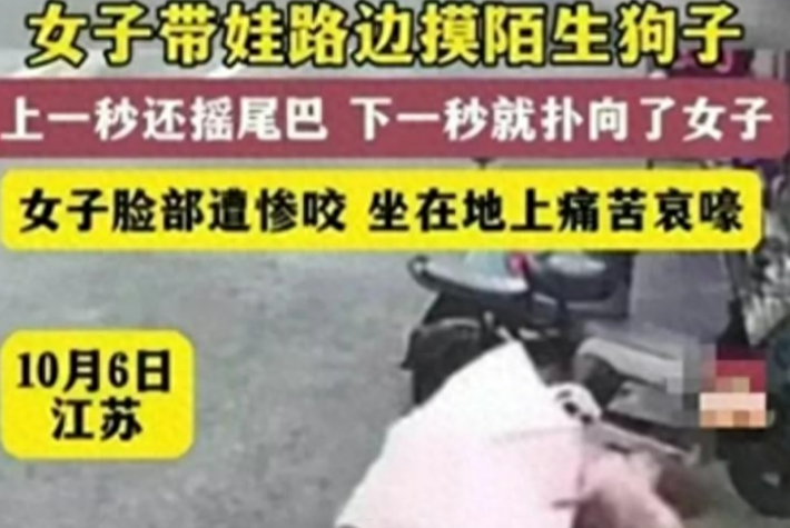 狗主罚款引争议:探讨宠物主人责任与社区安全之间的平衡点 狗主罚款引争议:探讨宠物主人责任与社区安全之间的平衡点