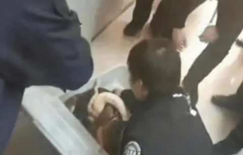 温和无毒，却是二级保护动物！一男子玩宠物蛇被刑拘