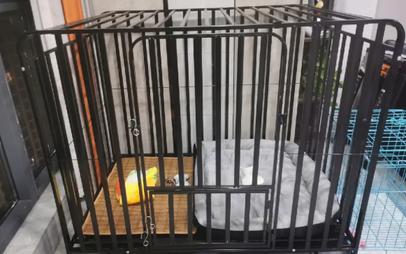 獒运笼具的价格多少