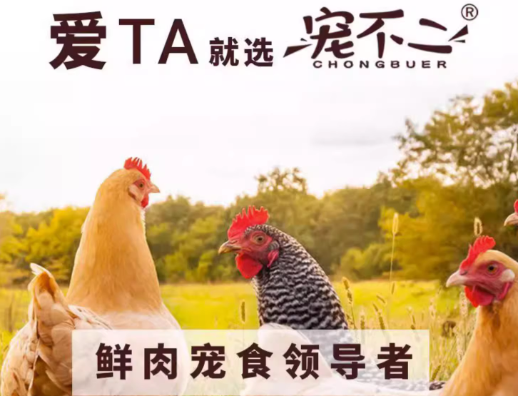 宠不二猫粮,您身边的爱宠科学养护好助手 宠不二猫粮,您身边的爱宠科学养护好助手