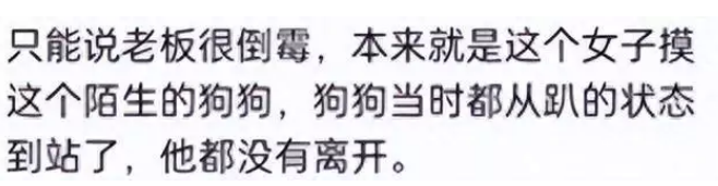盐城女被狗咬续,女方缝500多针,传狗已不在,责任认定争执不休 盐城女被狗咬续,女方缝500多针,传狗已不在,责任认定争执不休