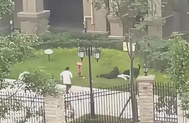 “被咬活该!”狗主人分析女童被咬原因称不该躲避,疯狂为狗辩护 “被咬活该!”狗主人分析女童被咬原因称不该躲避,疯狂为狗辩护
